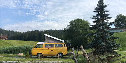 Anbieter - Fahrzeugtypen: Kastenwagen - CampBär's T3 Westfalia auf einem wunderschönen Naturcampingplatz - DD1 GmbH - CampBär Campervermietung
