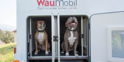 Anbieter - Fahrzeugarten: Mietfahrzeuge - Benken SG - Auch Hunde fühlen sich wohl - Eschis Mobil und Freizeit