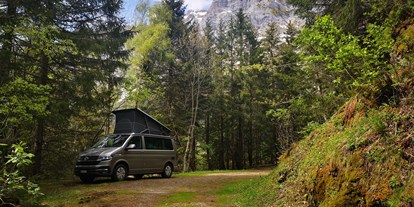 Anbieter - Fahrzeugarten: Fahrzeugankauf - PLZ 8957 (Schweiz) - VW Bulli California | feriencamper - feriencamper