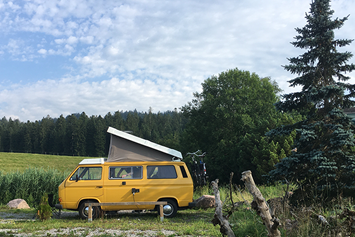 Camper: CampBär's T3 Westfalia auf einem wunderschönen Naturcampingplatz - CampBär Campervermietung - DD1 GmbH