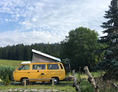 Camper: CampBär's T3 Westfalia auf einem wunderschönen Naturcampingplatz - DD1 GmbH - CampBär Campervermietung