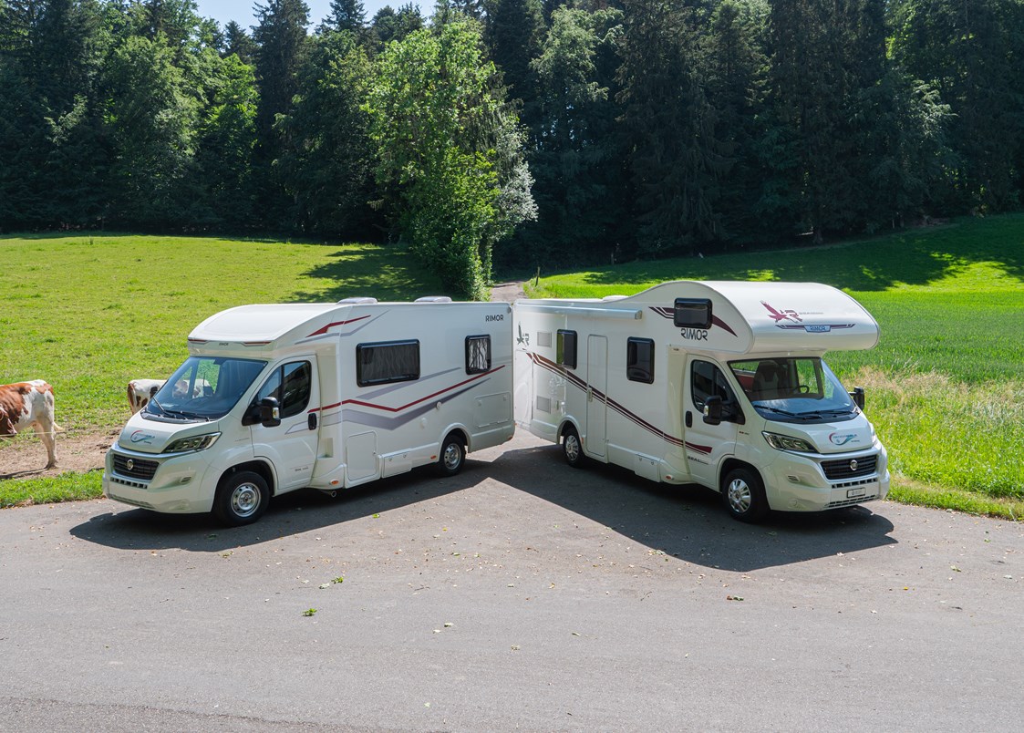 Camper: Wohnmobil Flotte - Emil Frey AG