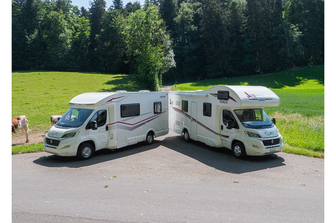 Camper: Wohnmobil Flotte - Emil Frey AG