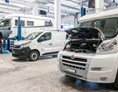 Camper: Nutzfahrzeug Werkstatt für Wohnmobile aller Marken - Hammer Auto Center AG