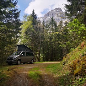 Camper: VW Bulli California | feriencamper - feriencamper